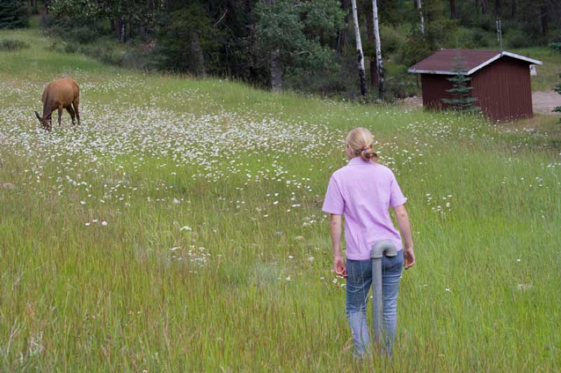 what-skills-should-a-wildlife-biologist-have-today